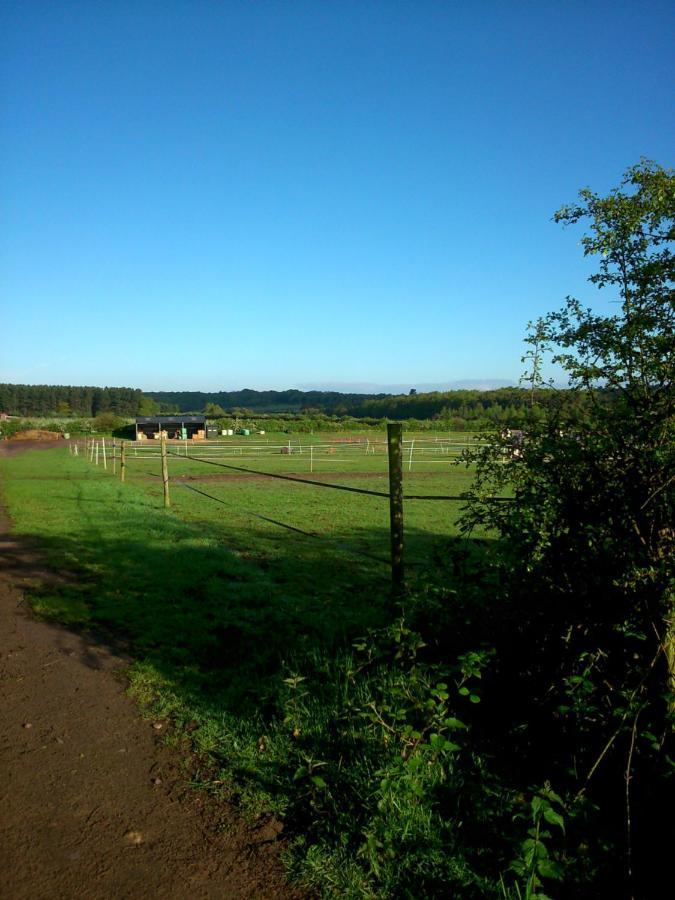 Clumber Lane End Farm Panzió Worksop Kültér fotó