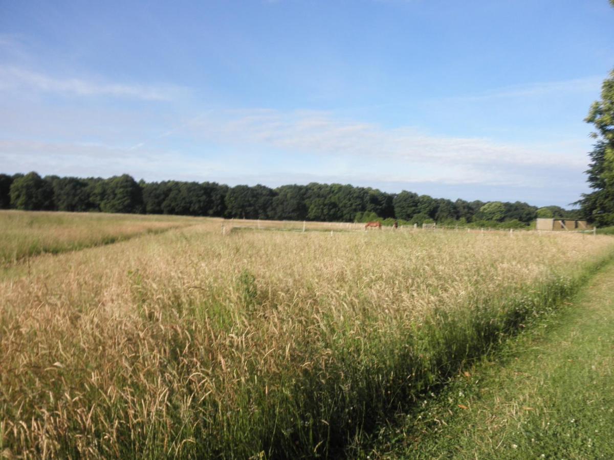 Clumber Lane End Farm Panzió Worksop Kültér fotó