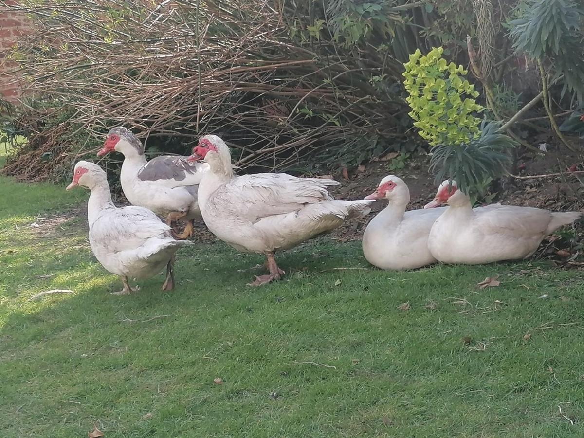 Clumber Lane End Farm Panzió Worksop Kültér fotó